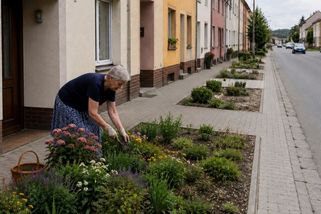 Vyšla z domu a málem skončila v nemocnici. Cyklista jel po chodníku přímo pod jejími okny